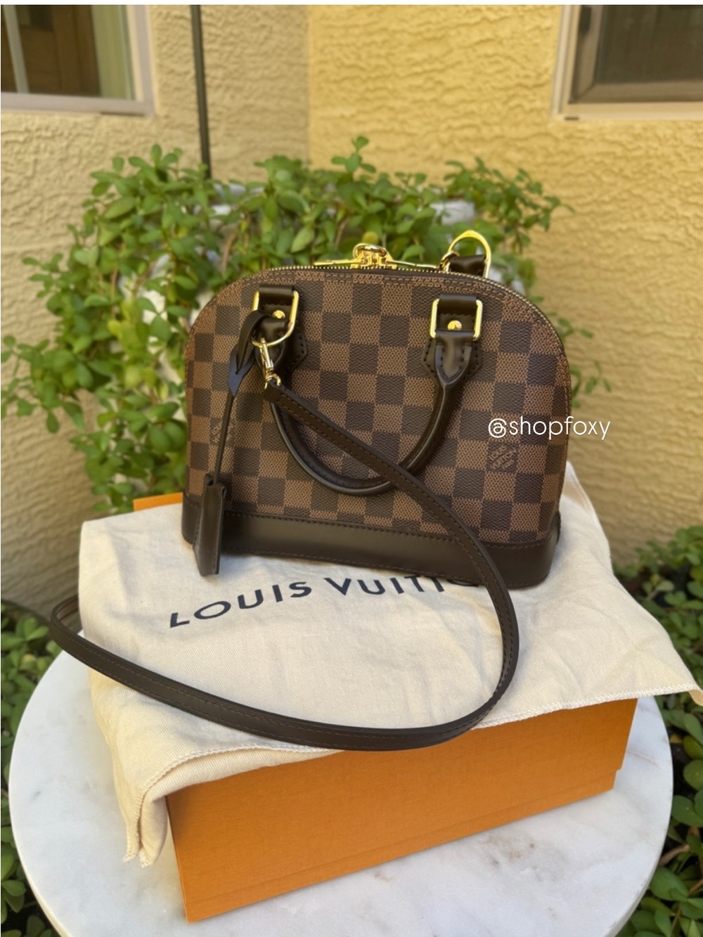 Louis Vuitton Damier Ebene Alma BB
